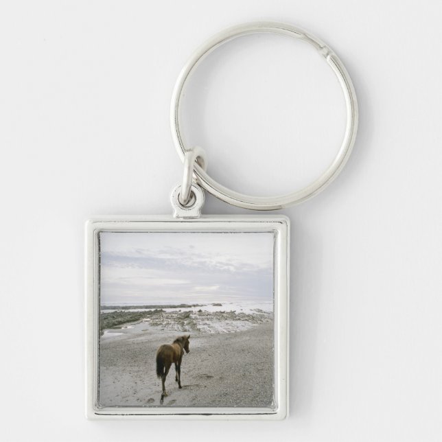 Pferd, das auf den Strand geht Schlüsselanhänger (Vorne)