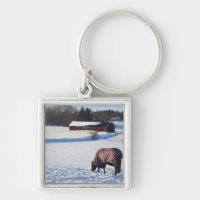 Pferd, das auf einem schneebedeckten Feld auf