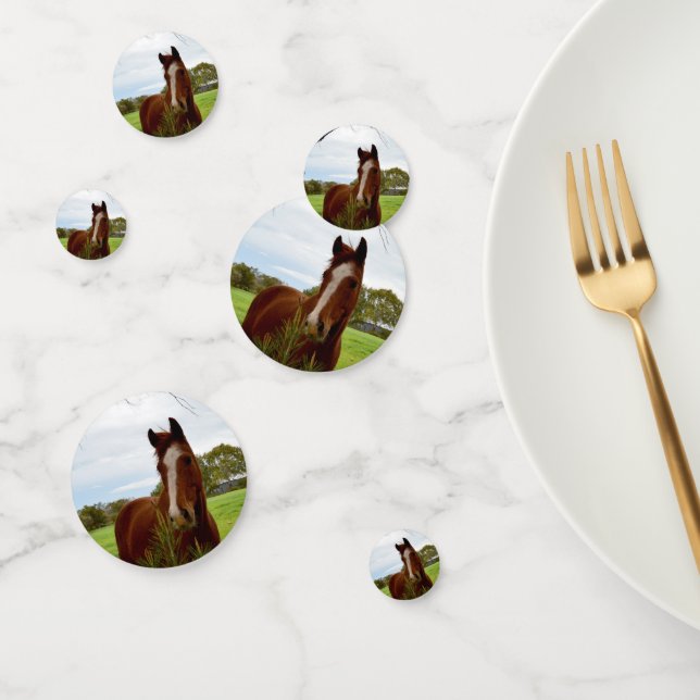 Pferd, das einen Banksienbaum schnüffelt, Konfetti (Gruppe)