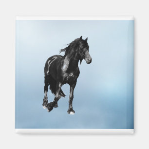 Pferd, das sich plötzlich dreht magnet