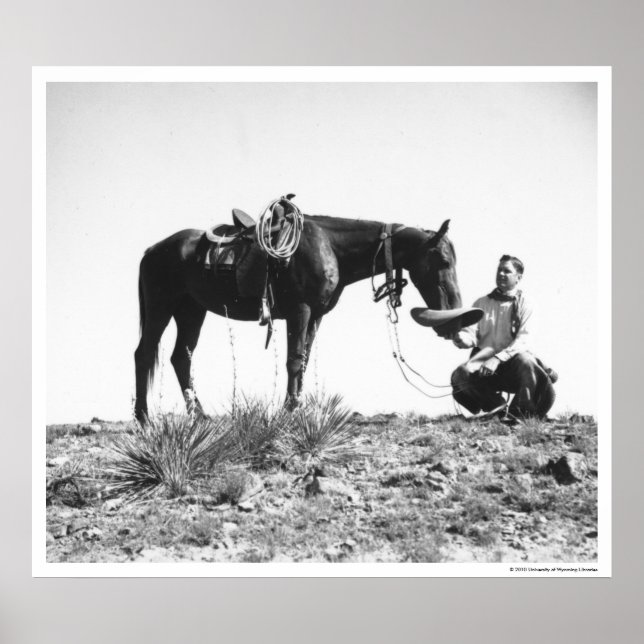 Pferd, das von einem Cowboyhut frisst. Poster (Vorne)