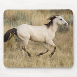 Pferd durch die Graslandschaft Prairie Mousepad