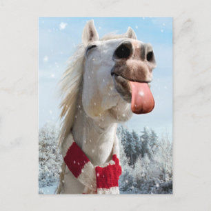 Pferd fängt Schneeflocken Einladungspostkarte