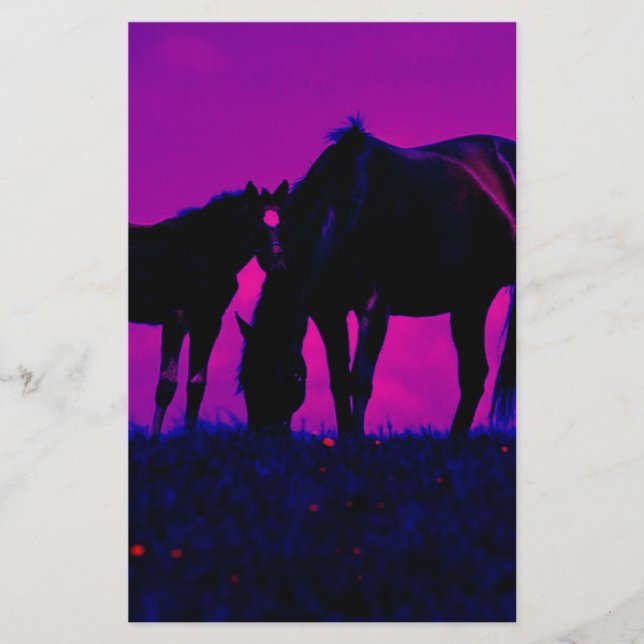 Pferd & Filly (Vorderseite)