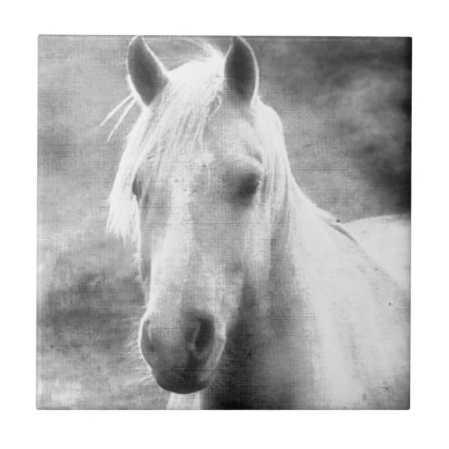 Pferd Fliese (Vorderseite)