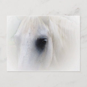 Pferd & Floral Postkarte