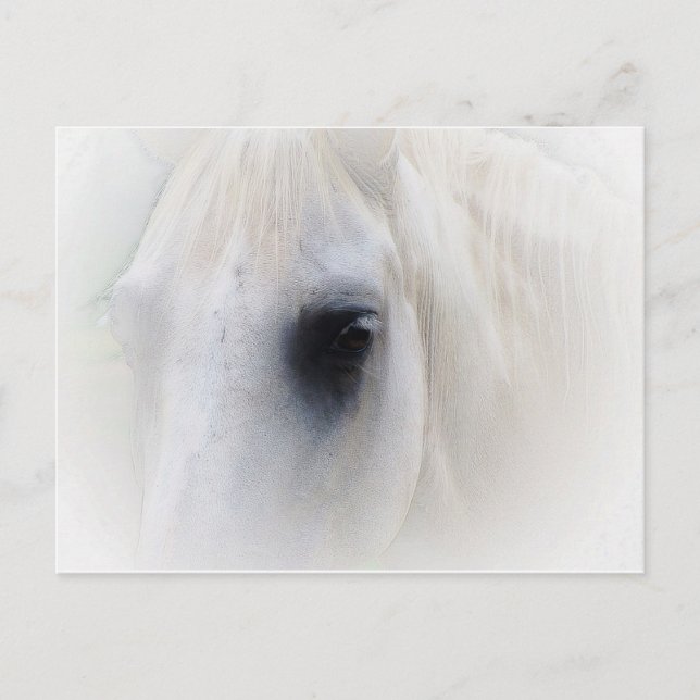 Pferd & Floral Postkarte (Vorderseite)