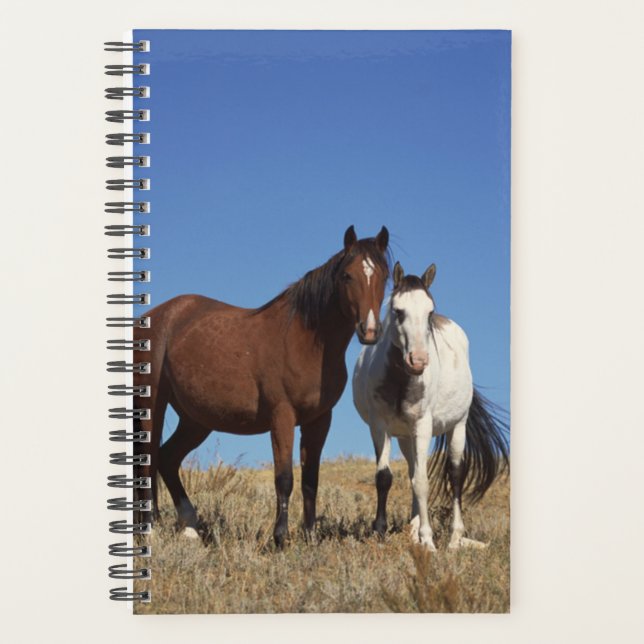 Pferd Foto Equine Buddies Planer (Vorderseite)