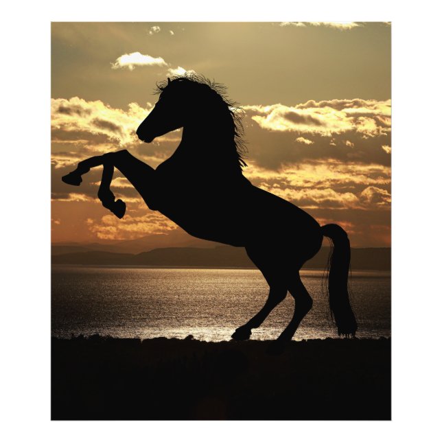 Pferd Fotodruck (Vorne)