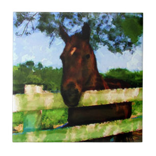 Pferd freundlich fliese