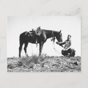 Pferd frisst aus dem Hut eines Cowboys. Postkarte