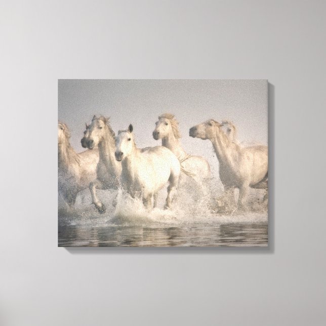 Pferd Galopp im Mittelmeer Leinwanddruck (Vorderseite)