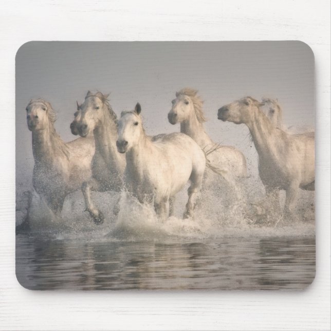 Pferd Galopp im Mittelmeer Mousepad (Vorne)