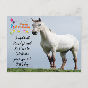 Pferd Geburtstagsgrüße Postkarte