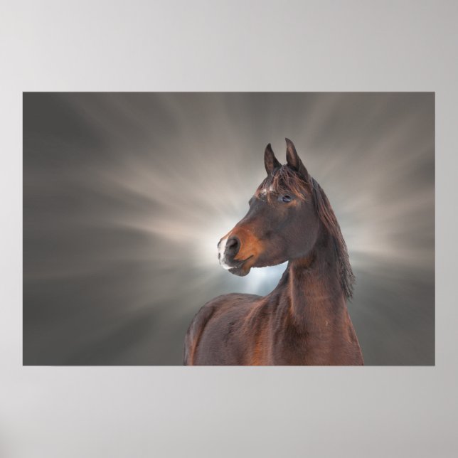 Pferd gegen Wolken Poster (Vorne)