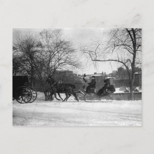 Pferd Gezeichnet Sleigh NYC Postcard Postkarte
