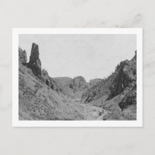 Pferd Gezeichnet Trainer in Phantom Ridge Fotograf Postkarte