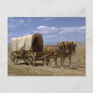 Pferd gezeichnet Wagen Postkarte