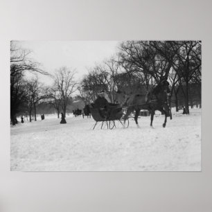 Pferd gezeichneter Sleigh in Central Park, New Poster