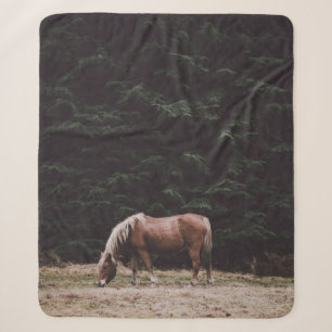 PFERD GRASST IM SCHATTEN VON NADELBÄUMEN SHERPADECKE
