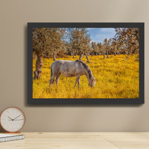 Pferd grast auf einer Wiese mit gelben Blumen Poster