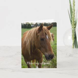 Pferd Hallo Ich Denke An Dich Karte