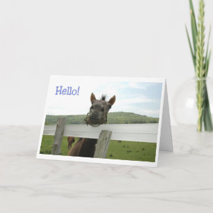 Pferd hallo karte