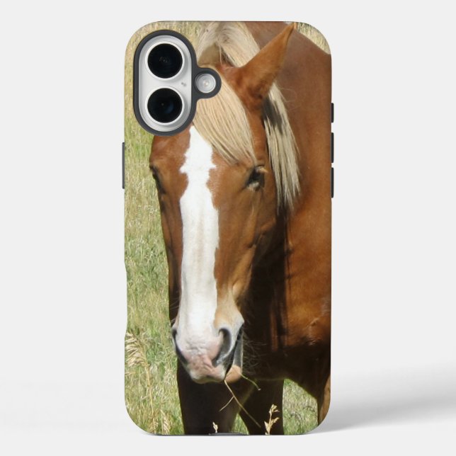 Pferd-Handy-Fall Case-Mate iPhone Hülle (Rückseite)