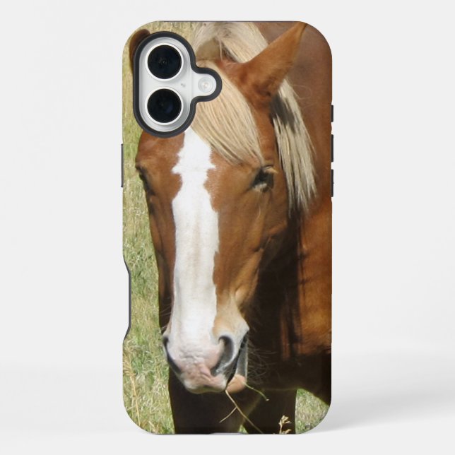Pferd-Handyhülle iPhone Hülle (Rückseite)