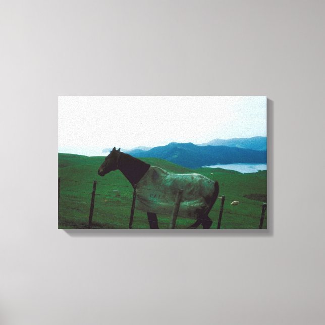 Pferd hinter Zaun Leinwanddruck (Vorderseite)