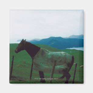 Pferd hinter Zaun Magnet