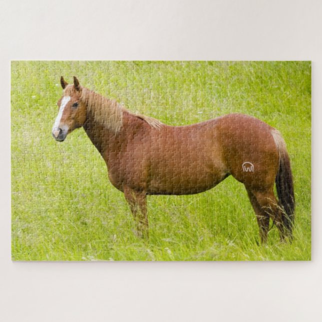 Pferd im Frühjahrsfeld Puzzle (Horizontal)