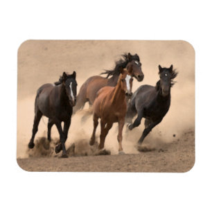 Pferd im Herbst II Magnet