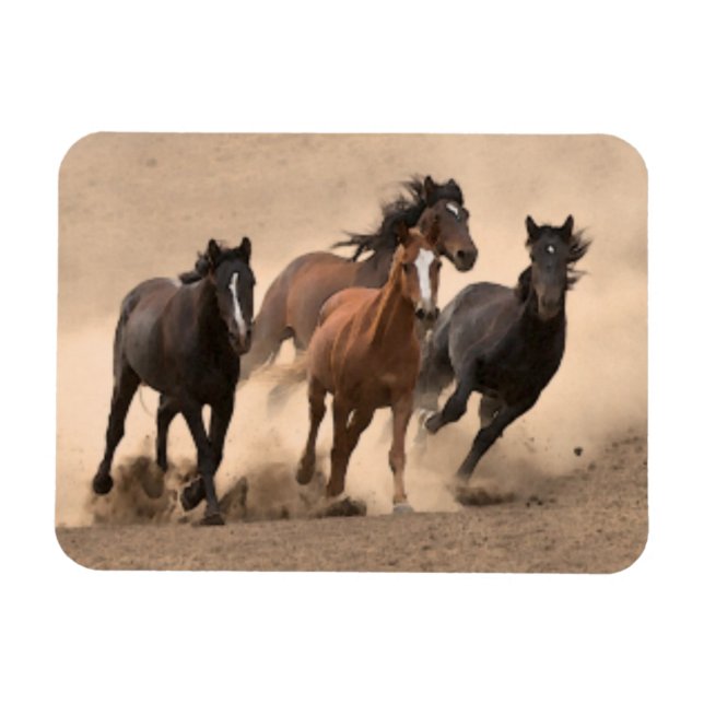 Pferd im Herbst II Magnet (Horizontal)