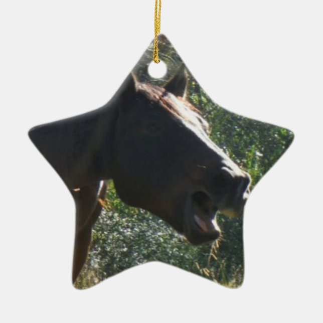 Pferd im Herbst Keramikornament (Vorne)