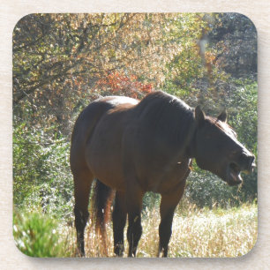 Pferd im Herbst Untersetzer