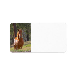 Pferd im Holz Adressaufkleber