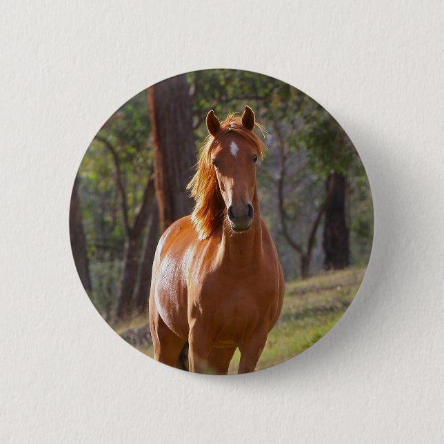 Pferd im Holz Button (Vorderseite)