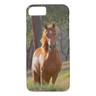 Pferd im Holz Case-Mate iPhone Hülle