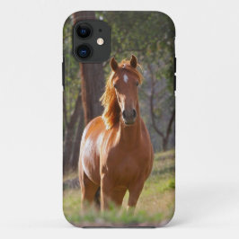 Pferd im Holz Case-Mate iPhone Hülle