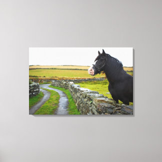 Pferd im ländlichen England Leinwanddruck