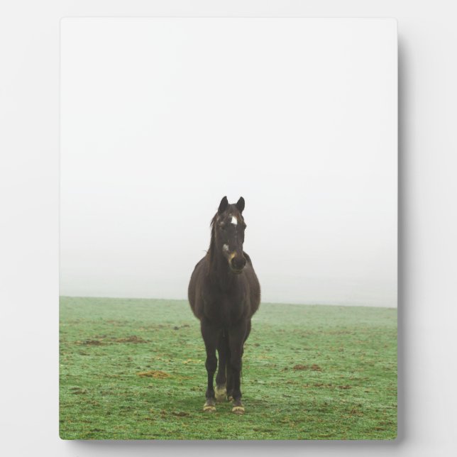 Pferd im Nebel auf einer Wiese Fotoplatte (Vorderseite)