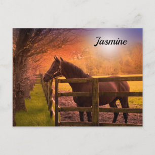 Pferd im Paddock personalisiert Postkarte