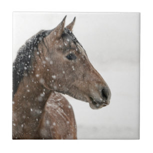 Pferd im Schnee Fliese