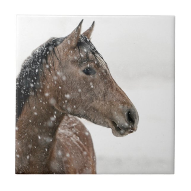 Pferd im Schnee Fliese (Vorderseite)