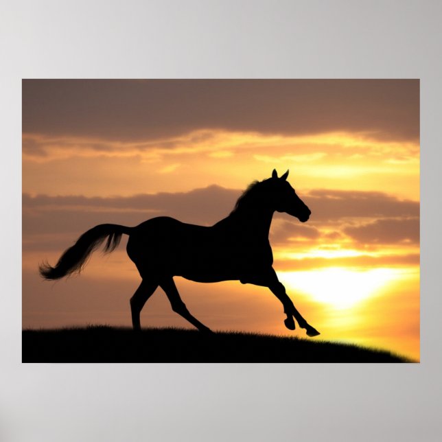 Pferd im Sonnenuntergang Poster (Vorne)