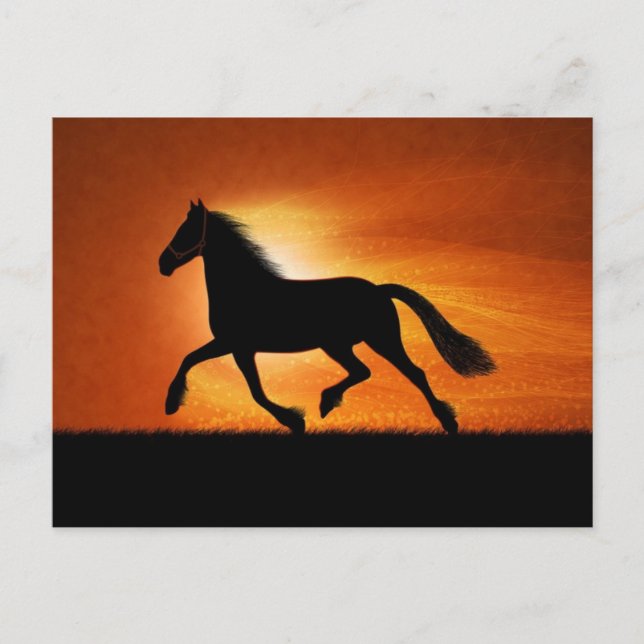 Pferd im Sonnenuntergang Postkarte (Vorderseite)