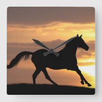 Pferd im Sonnenuntergang