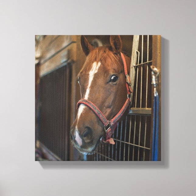 Pferd im Stall Leinwanddruck (Vorderseite)