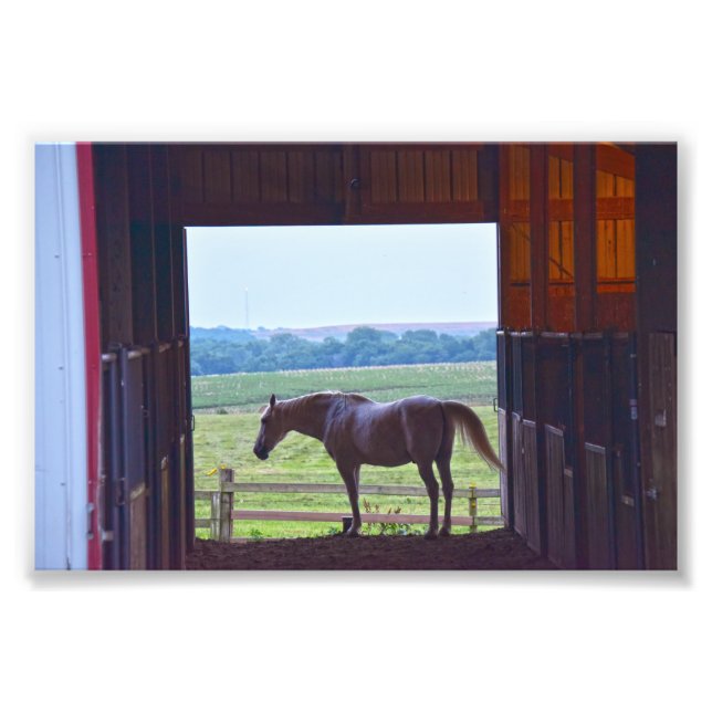 Pferd im Stall, Missouri Fotodruck (Vorne)